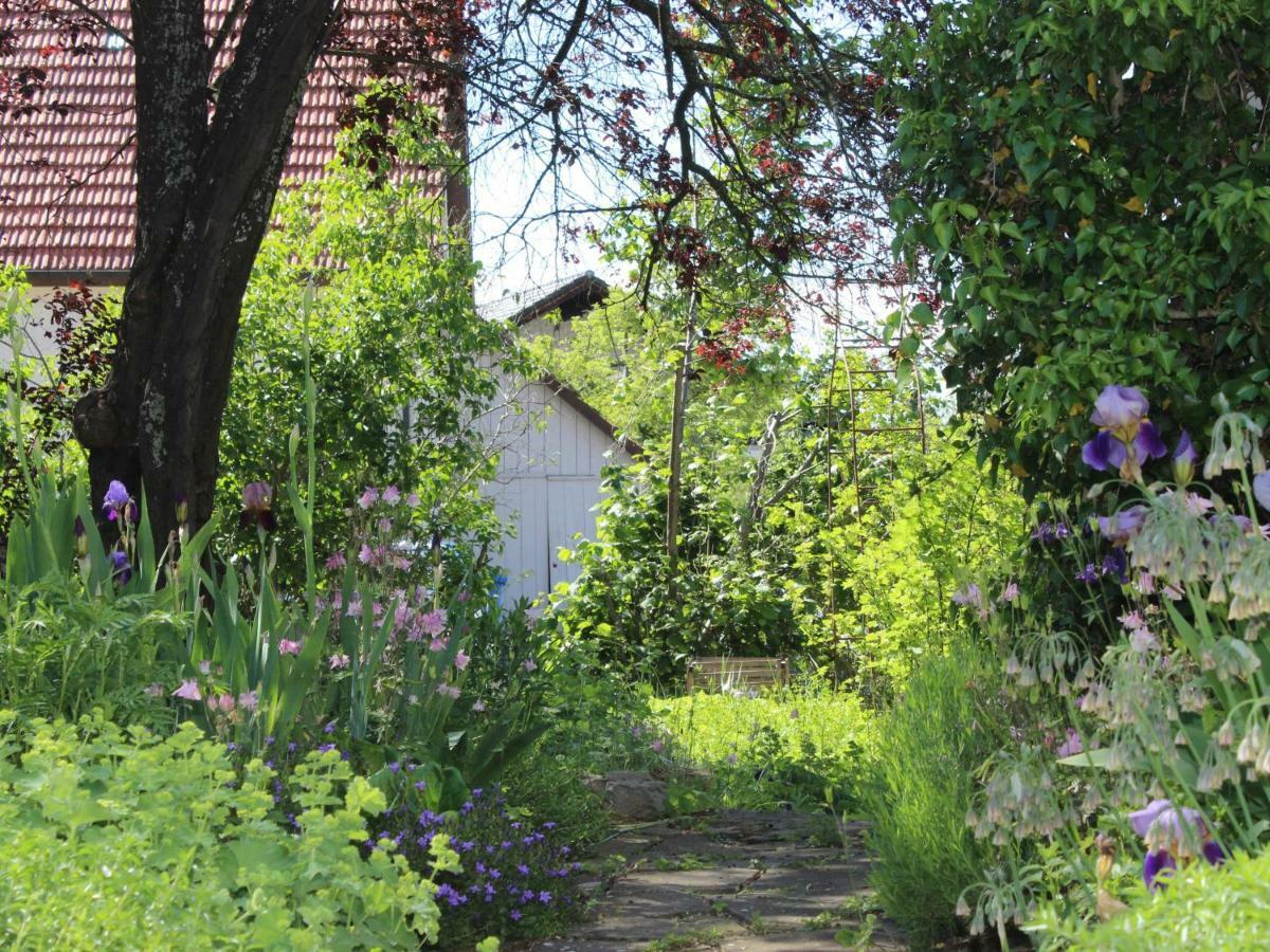 Appartement Zur Alten Scheune Balingen