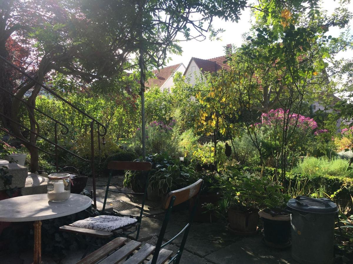 Zur Alten Scheune Appartement *